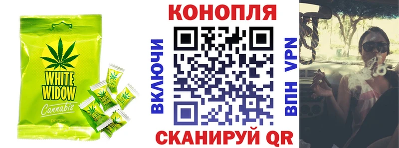 как найти наркотики  Светлоград  Еда ТГК марихуана 