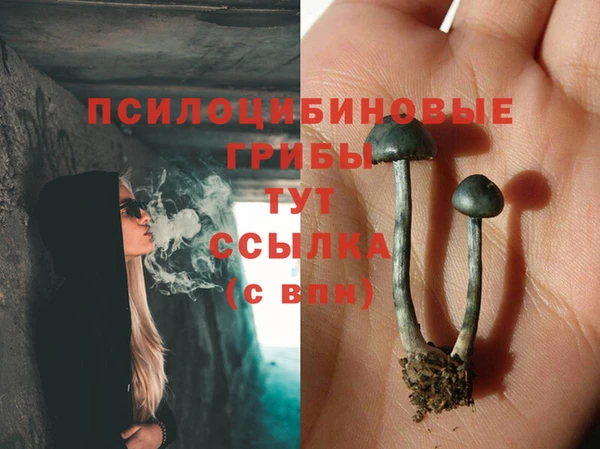 бутират Алексин